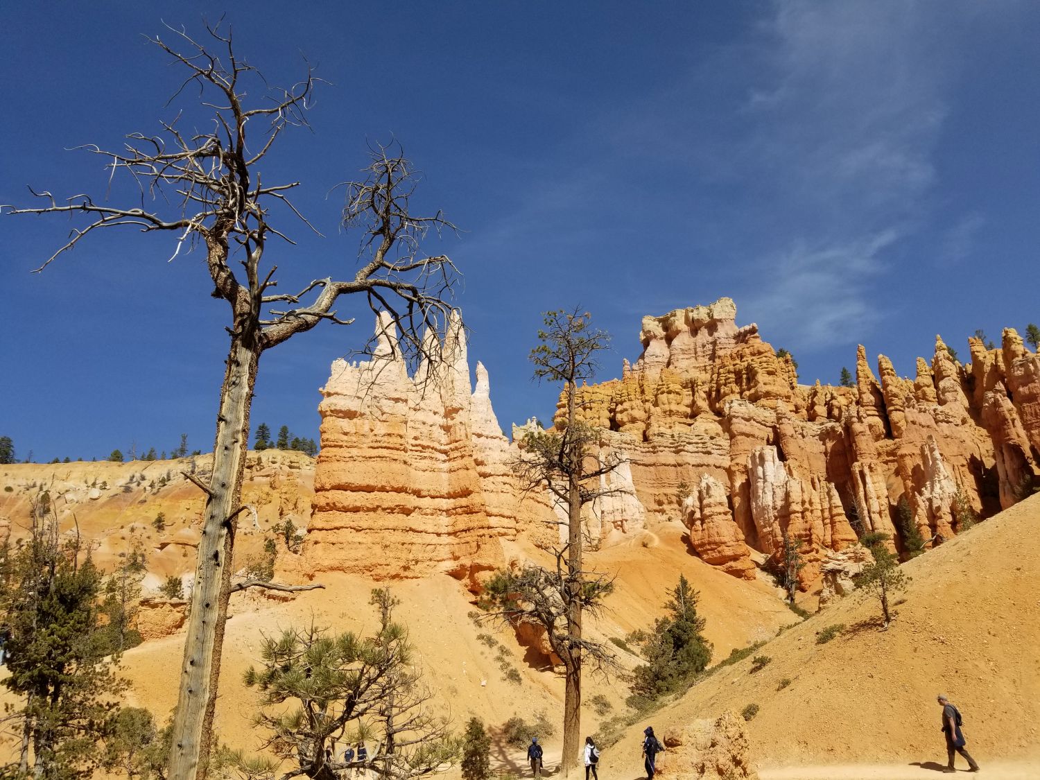 Queens/Navajo 